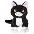 PM Educational Toys Pack - Kitty Cat