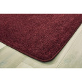 Mt St Helens 6'x9' Rectangle Carpet